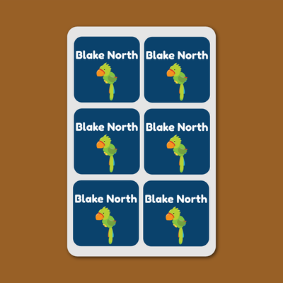 Shoe Labels - 7 pairs - Pirates image 0