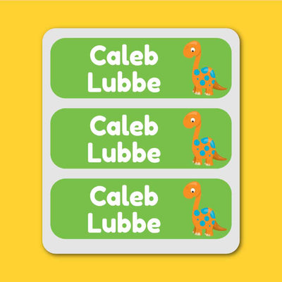 Large Labels - 20 pack - Dinosaurs image 0