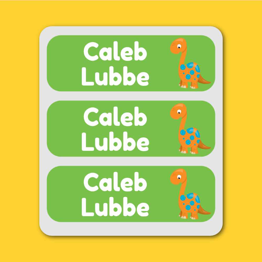 Large Labels - 20 pack - Dinosaurs image 0